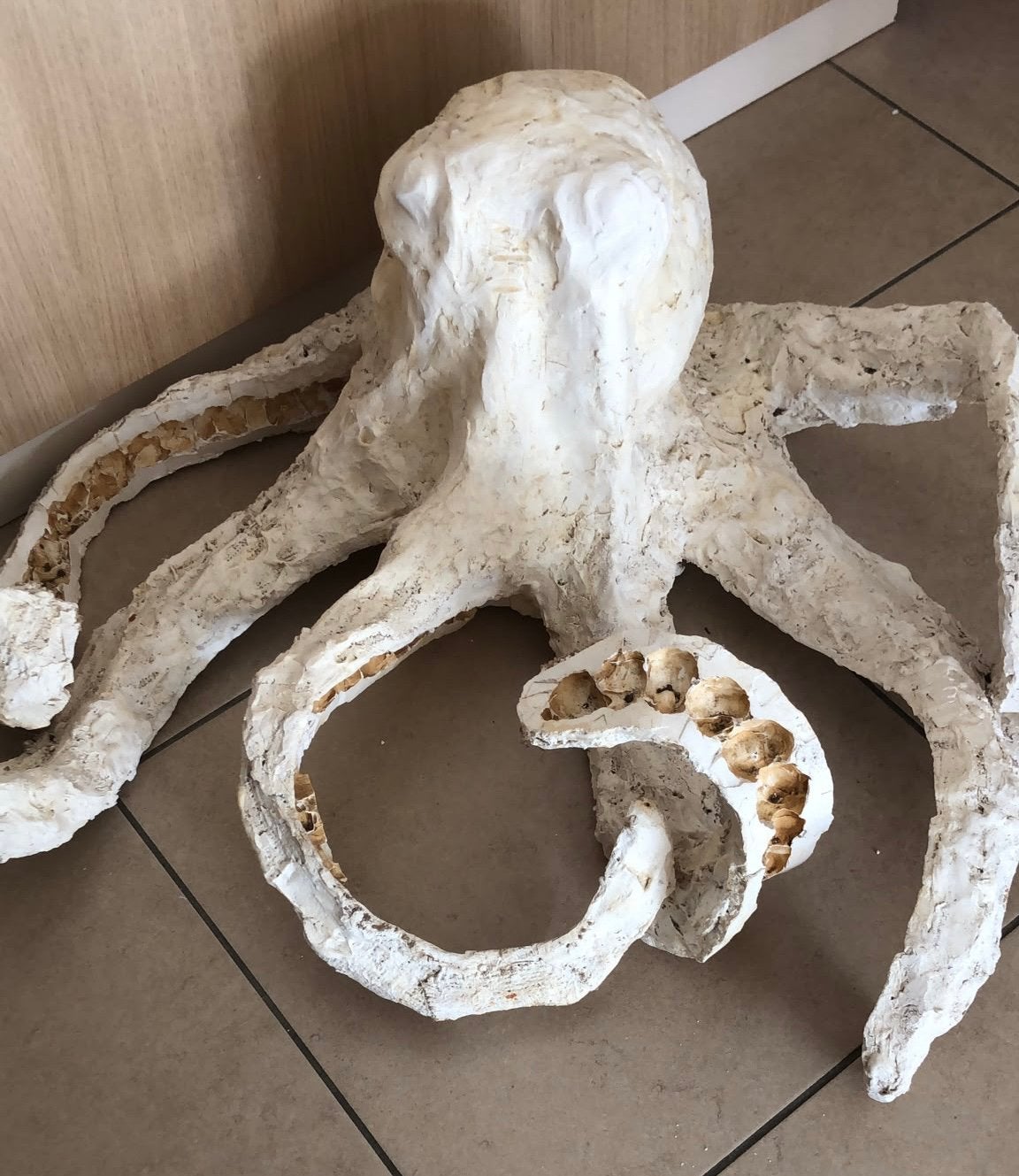 Oeuvre d'art Octopus, Antiquités & Art, Statue, Enlèvement ou Envoi, Gips, Fait main