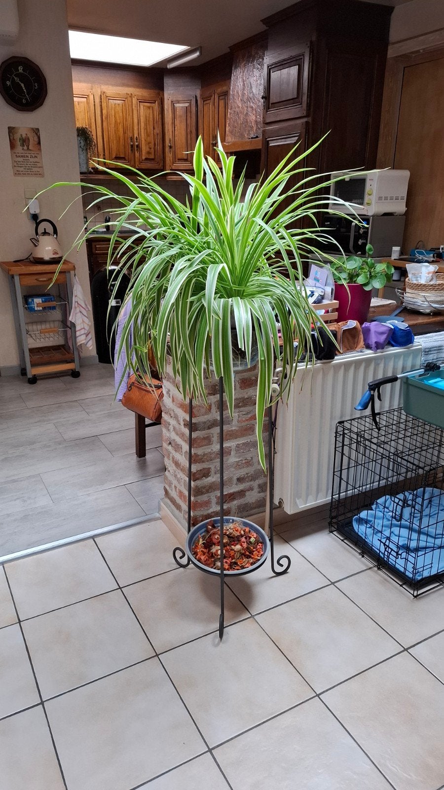 Mooie plantenstaander met glazen plantenhouder en plant inbe, Huis en Inrichting, Ophalen