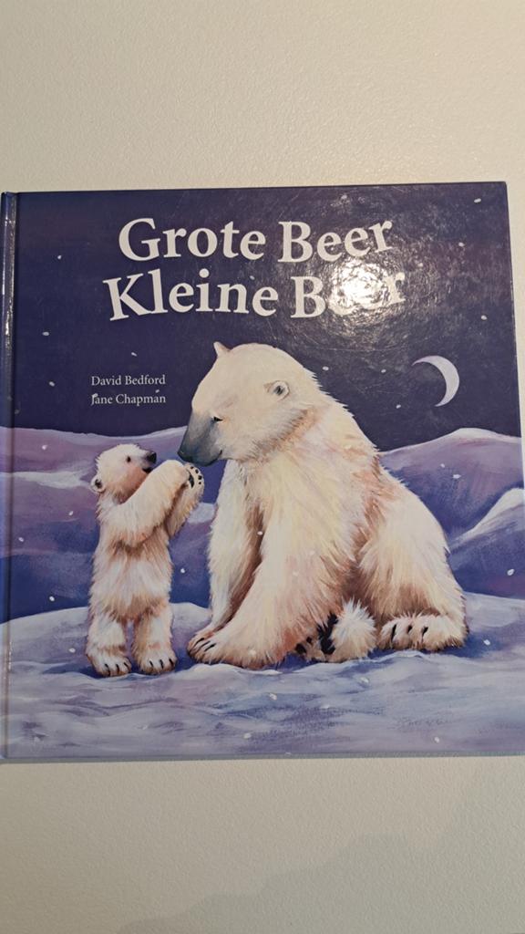 David Bedford - Grote beer kleine beer groot formaat, Boeken, Ophalen, David Bedford