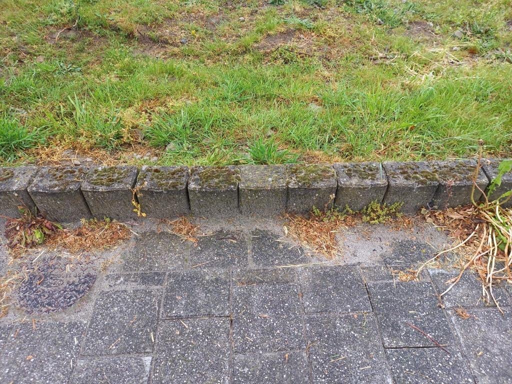 pallisades in beton buiten, 105 suks, gratis, Ophalen, Gebruikt, Overige typen, 10 m² of meer