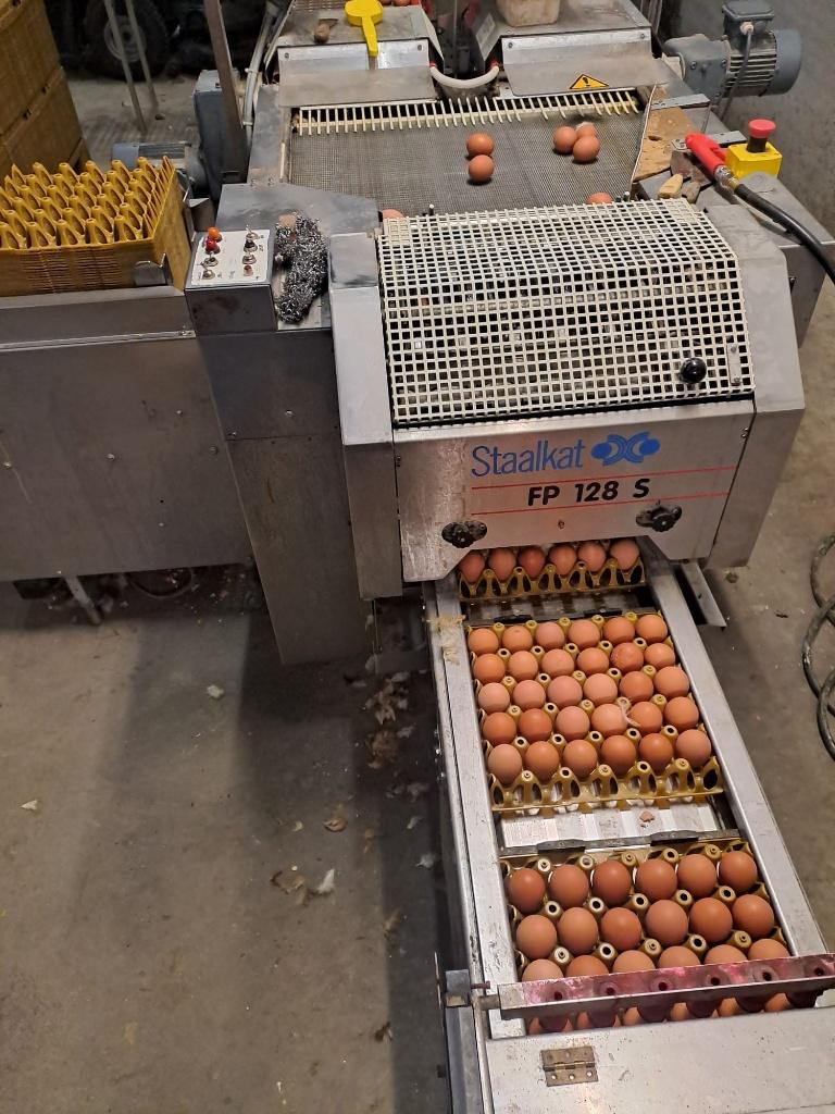 eierinpakker staalkat, Zakelijke goederen, Landbouw | Aardappelen, Groenten, Fruit en Vlees, Ophalen