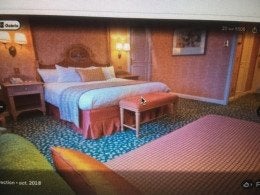 Jeté de lit Disneyland Hotel Paris ancien-190x68cm chambre, Envoi, Mickey Mouse, Comme neuf, Autres types