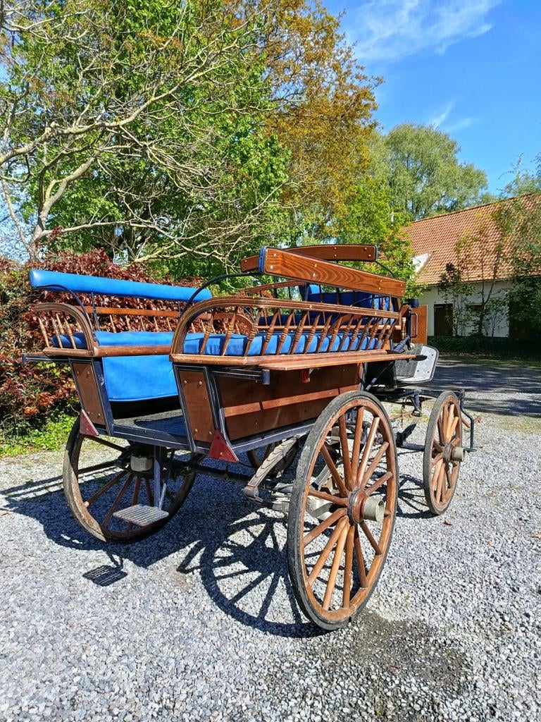 Wagonette koets 6/8 personen + enkel en dubbelspan., Dieren en Toebehoren, Rijtuigen en Koetsen, Wagonette