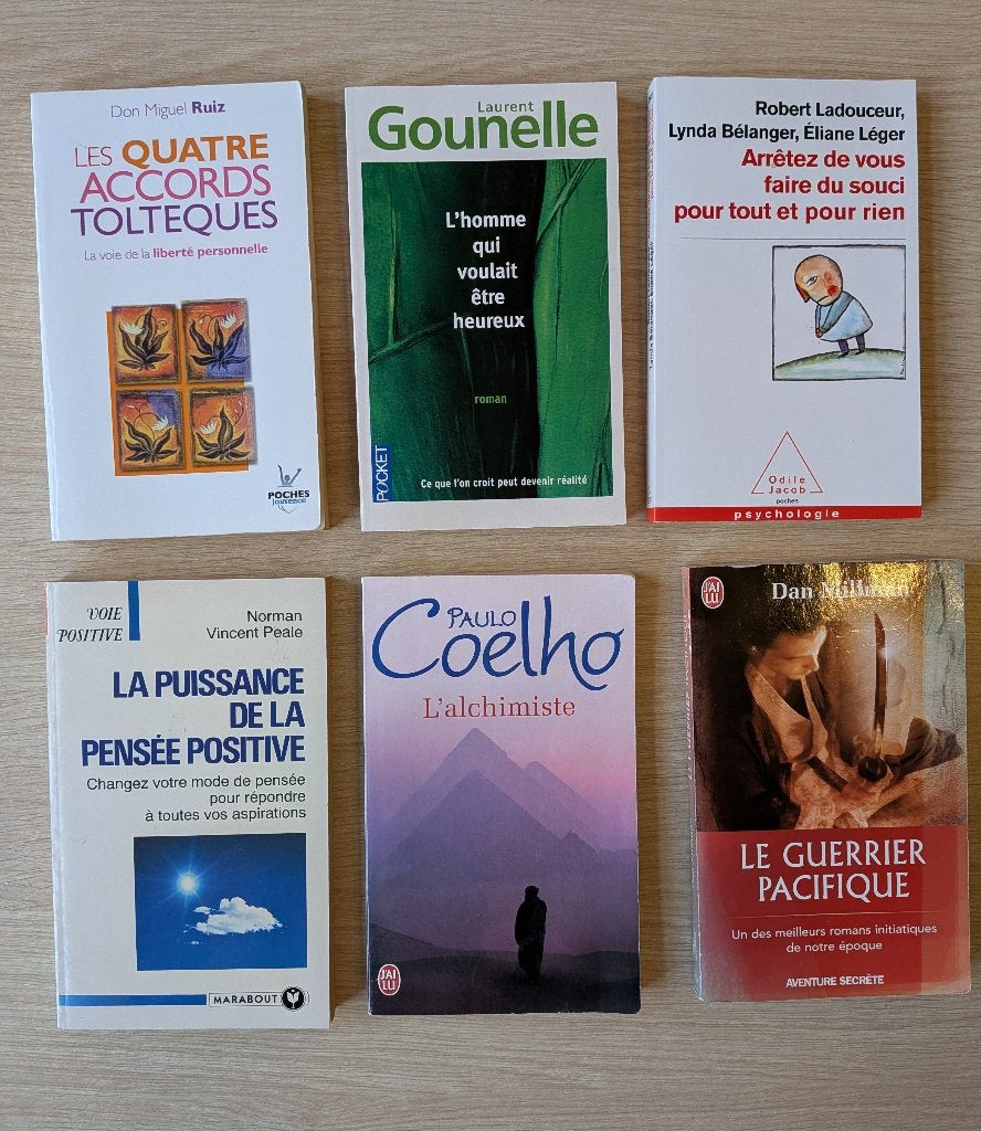 Lot de 6 livres – Développement personnel, Livres, Enlèvement, Utilisé