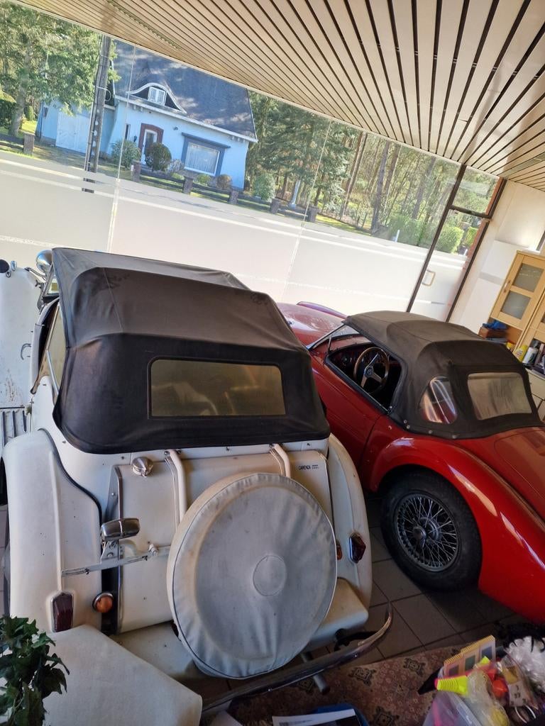 Oldtimers te koop MGA ,MG TD,jaguar,mini, foto 7