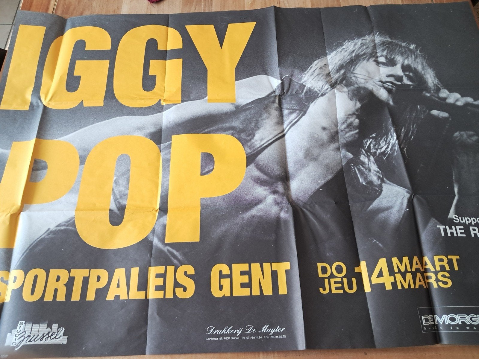 Concert Poster Iggy Pop, Verzamelen, Ophalen of Verzenden, Gebruikt, Foto of Kaart