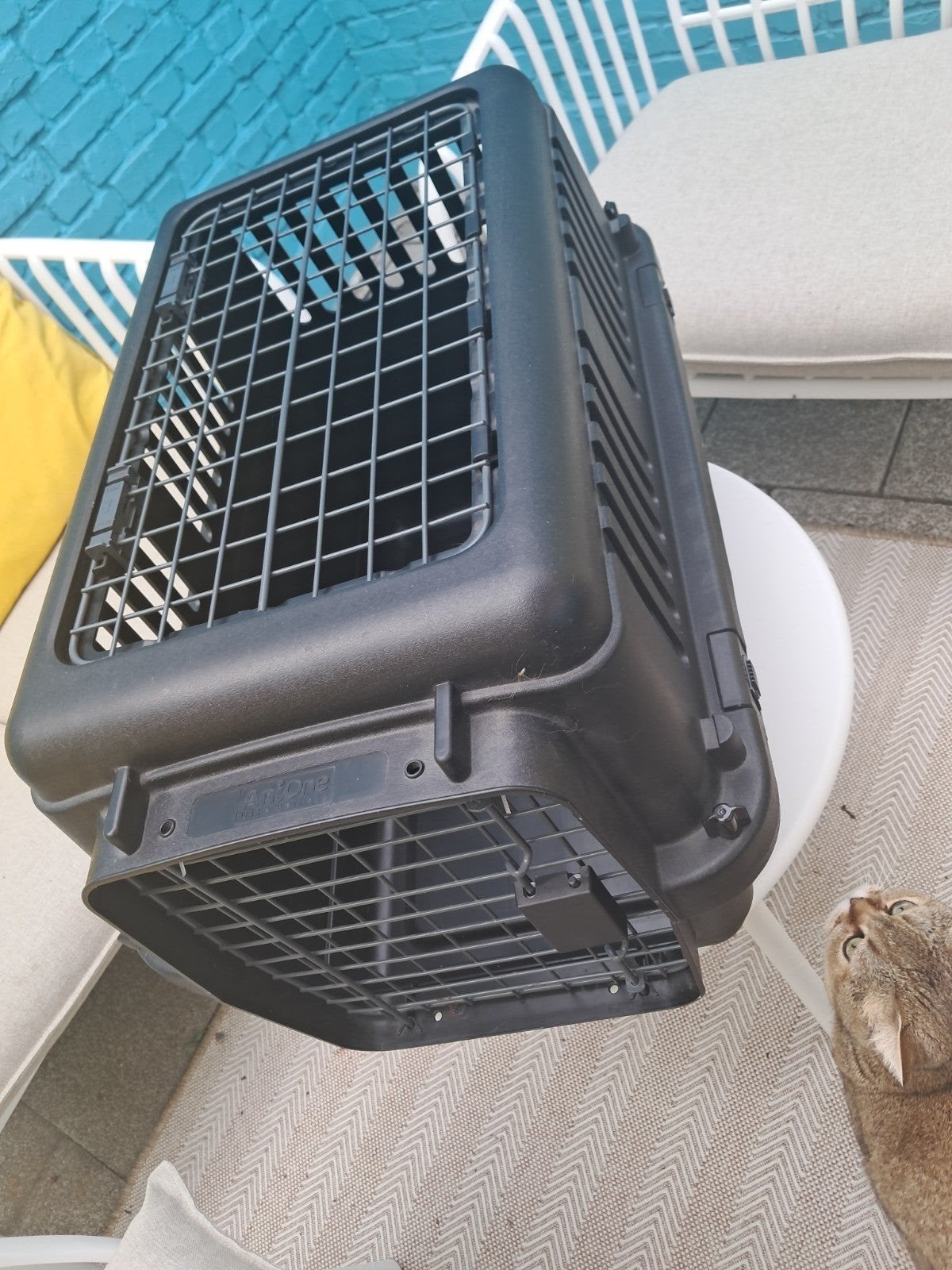Transportbox kat of kleine hond, Ophalen