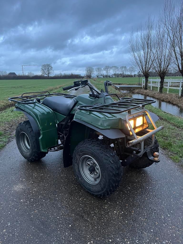 Yamaha timberwolf 250cc, Motoren