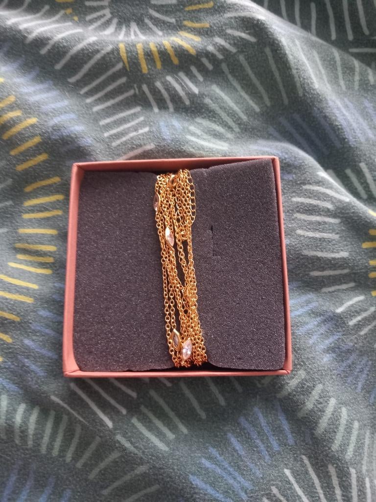 Chaine de corps Apsara, Enlèvement
