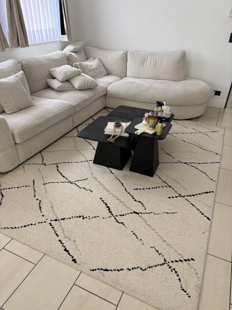 2 tapijten te koop, Huis en Inrichting, Stoffering | Tapijten en Vloerkleden, Ophalen, Gebruikt