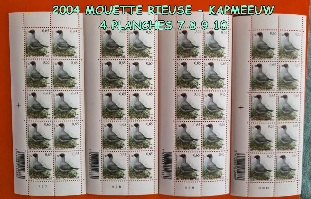 2004***    40 timb- MOUETTE RIEUSE - KAPMEEUW 7 8 9 10, Envoi