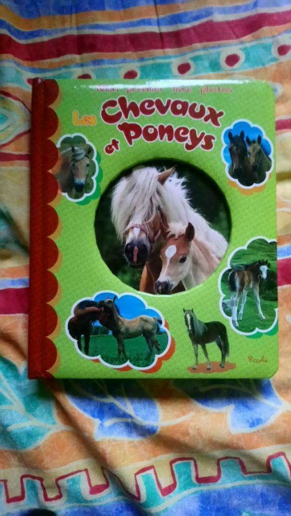 Chevaux et poneys / mon premier livre photos, Enlèvement ou Envoi, Utilisé, Chevaux ou Poneys