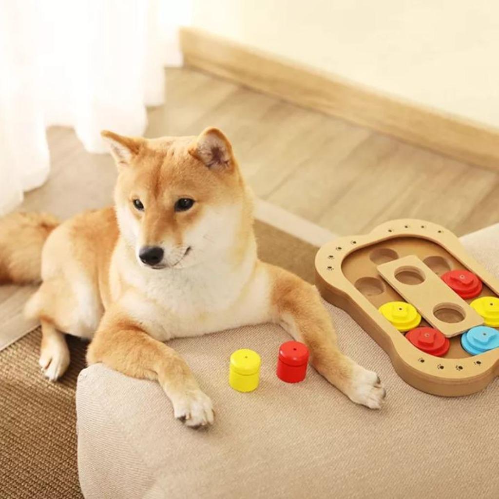 Jouet pour chien, jouet intelligent, jeu d'esprit pour chiot, Enlèvement ou Envoi, Neuf, Jouets intelligents