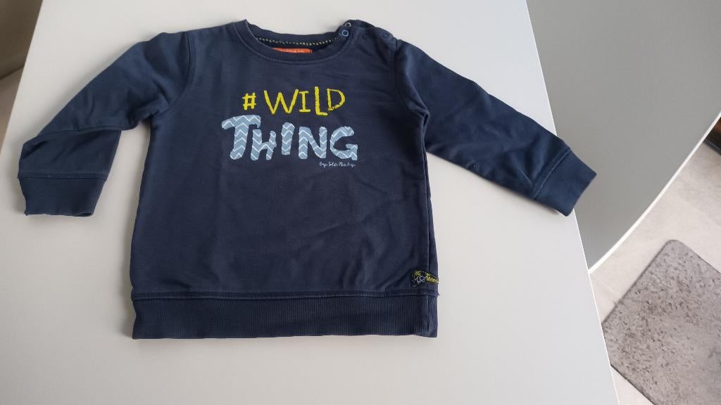 Sweater - Maat 86, Jongetje of Meisje, Ophalen of Verzenden, Zo goed als nieuw, Staccato