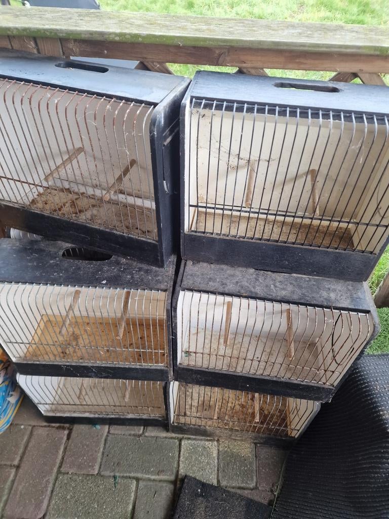 Tt kooien te koop 5 euro het stuk heb er 10, Dieren en Toebehoren, Vogels | Hokken en Kooien, Ophalen