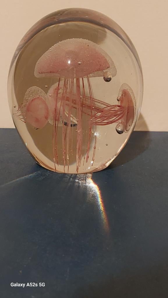 Prachtige groote kwal object., Antiek en Kunst, Kunst | Designobjecten, Ophalen of Verzenden