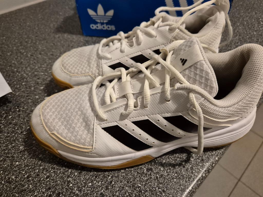Volleybalschoenen 38, Sport en Fitness, Volleybal, Ophalen of Verzenden, Gebruikt, Schoenen