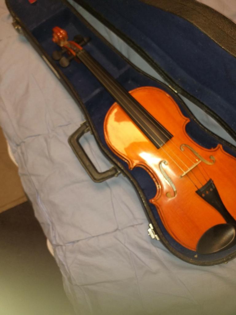 Violon pour débutants Brand Skylark, Musique & Instruments, Instruments à cordes frottées | Violons & Altos, Enlèvement ou Envoi