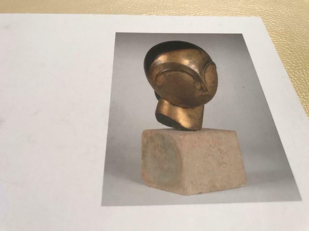 Constantin Brancusi Sculptures 100pag, Enlèvement ou Envoi, Comme neuf, Sculpture