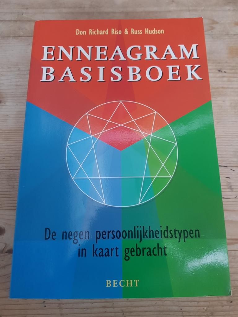 Russ Hudson - Enneagram basisboek, Ophalen of Verzenden, Zo goed als nieuw, Russ Hudson; Don Richard Riso