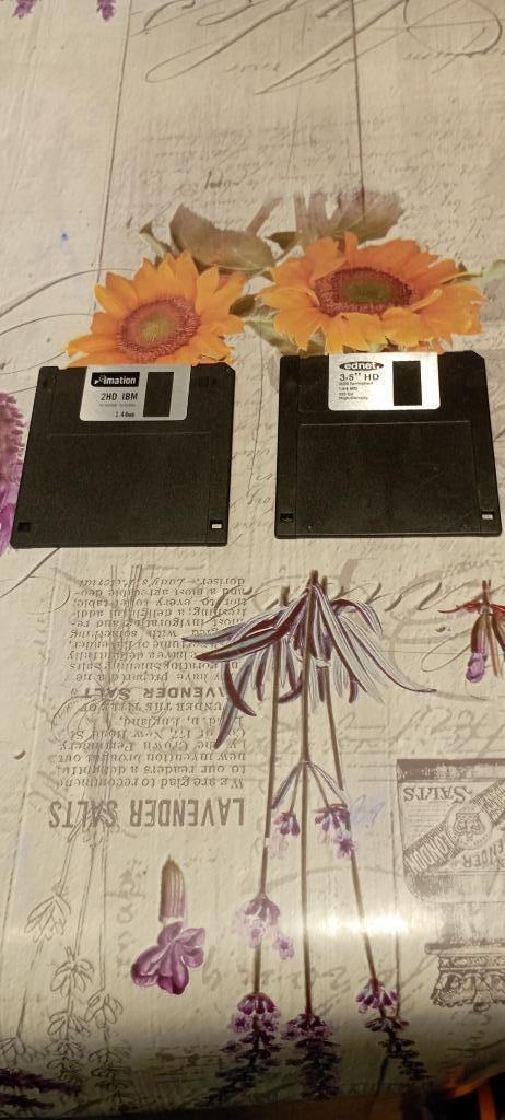 2 anciennes disquettes ordinateur., Computers en Software, Vintage Computers, Ophalen of Verzenden
