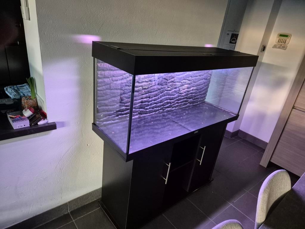 Aquarium juwel 240, Enlèvement