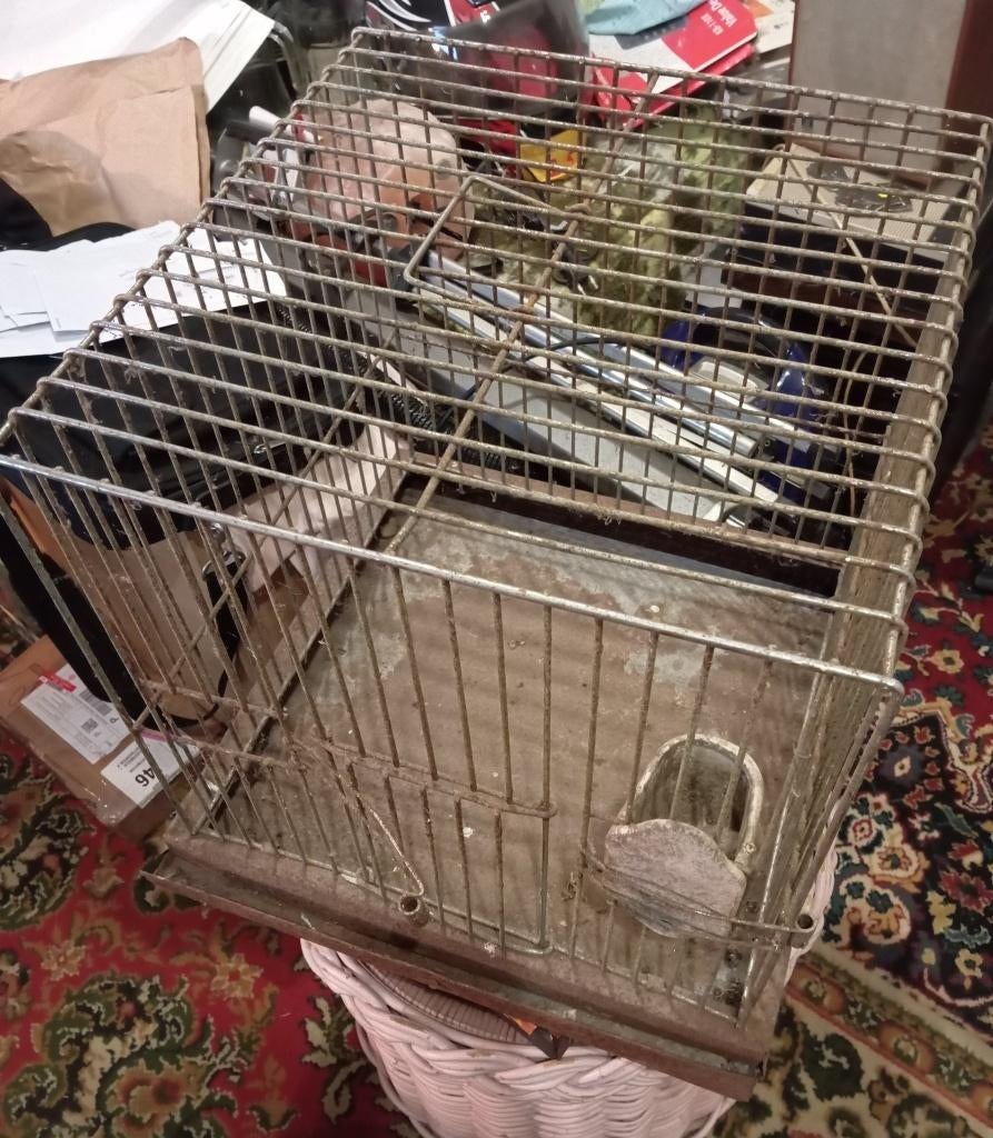 dierenkooi, Dieren en Toebehoren, Ophalen, Gebruikt, Metaal