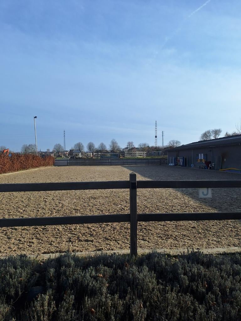 Pensionstal, Dieren en Toebehoren, Weidegang