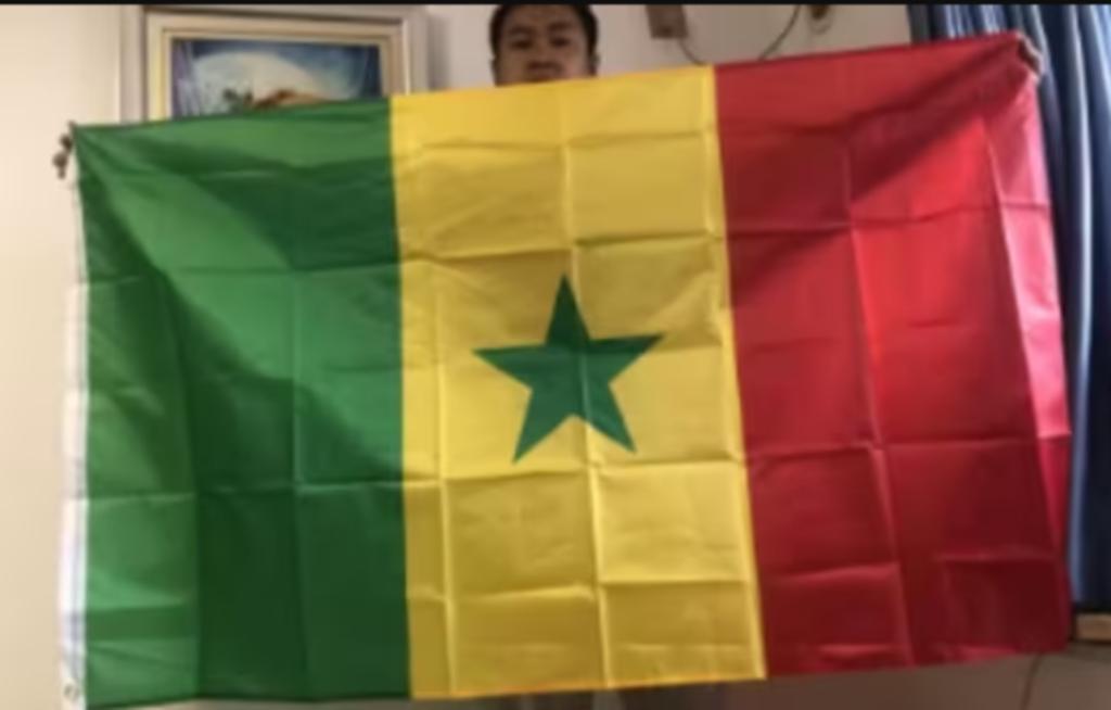 Grote vlag Senegal (150x90cm), Ophalen of Verzenden, Nieuw