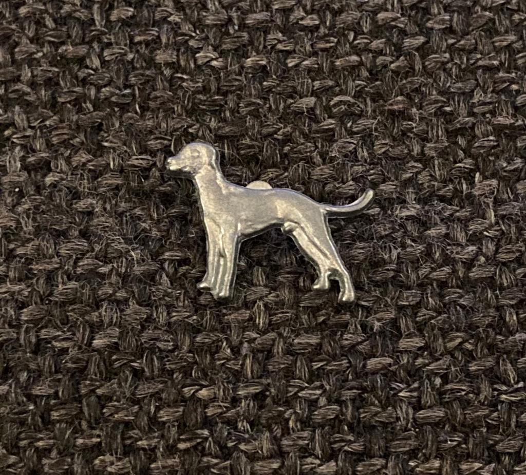 PIN - HOND - WINDHOND - CHIEN - DOG, Verzenden, Gebruikt, Dier of Natuur, Speldje of Pin
