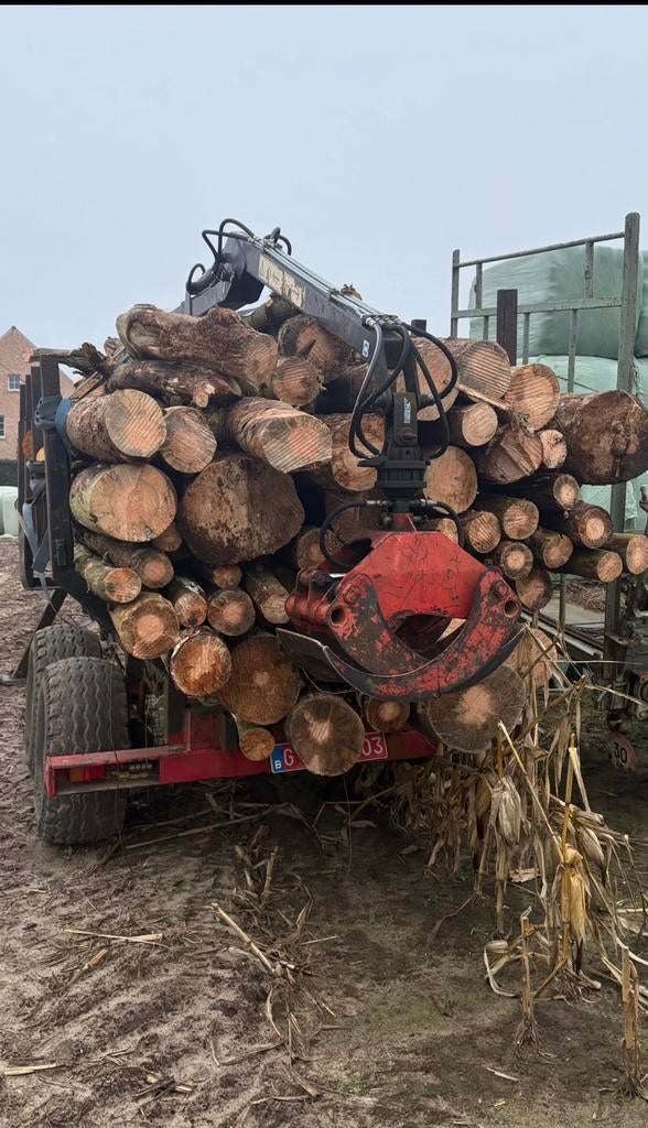 Gezocht bomen/stammen hout, Tuin en Terras, Ophalen, Stammen