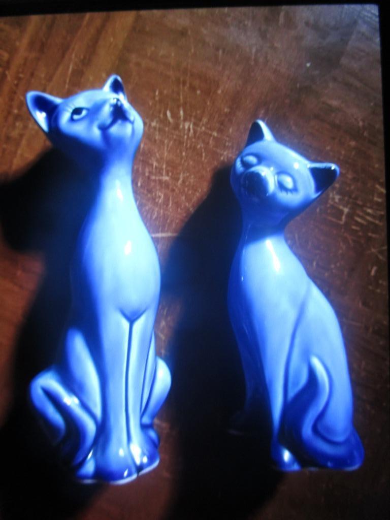 2 mooie kittens, Verzenden, Nieuw, Dier