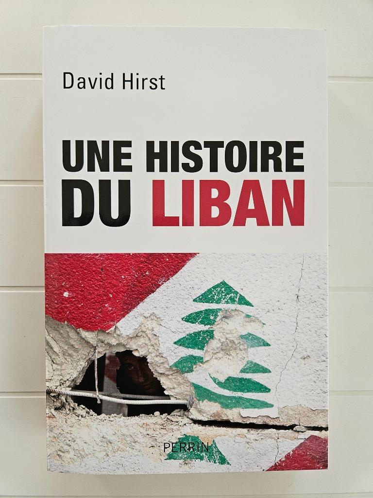 Een geschiedenis van Libanon 1860-2009, Ophalen of Verzenden, Zo goed als nieuw, David Hirst