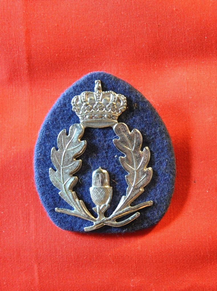 badge gland  police belgique, Collections, Objets militaires | Général, Enlèvement ou Envoi, Autres, Emblème ou Badge