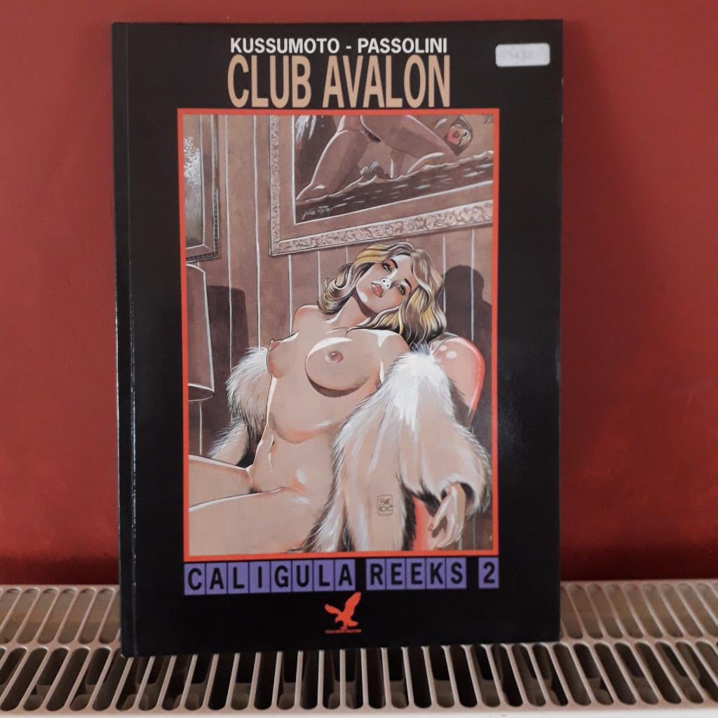 boek avalon, Boeken, Verzenden, Gelezen