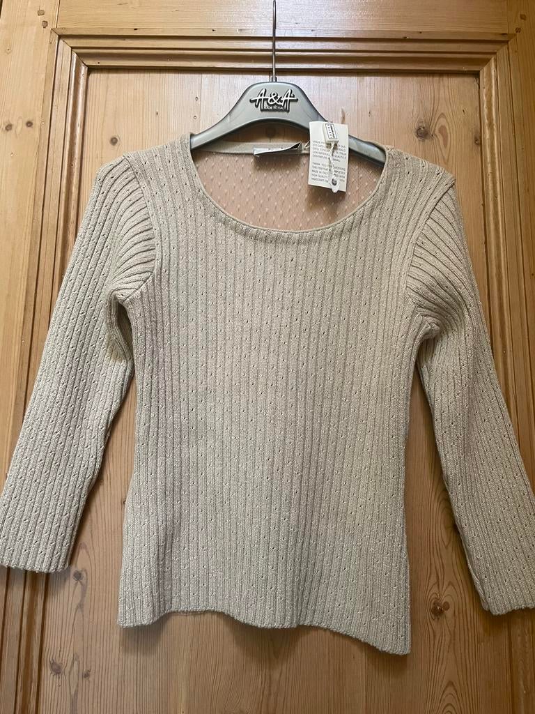 Nieuwe trui met doorzichtige rugzijde S, Kleding | Dames, Beige, Nieuw, Ophalen of Verzenden, Maat 36 (S)