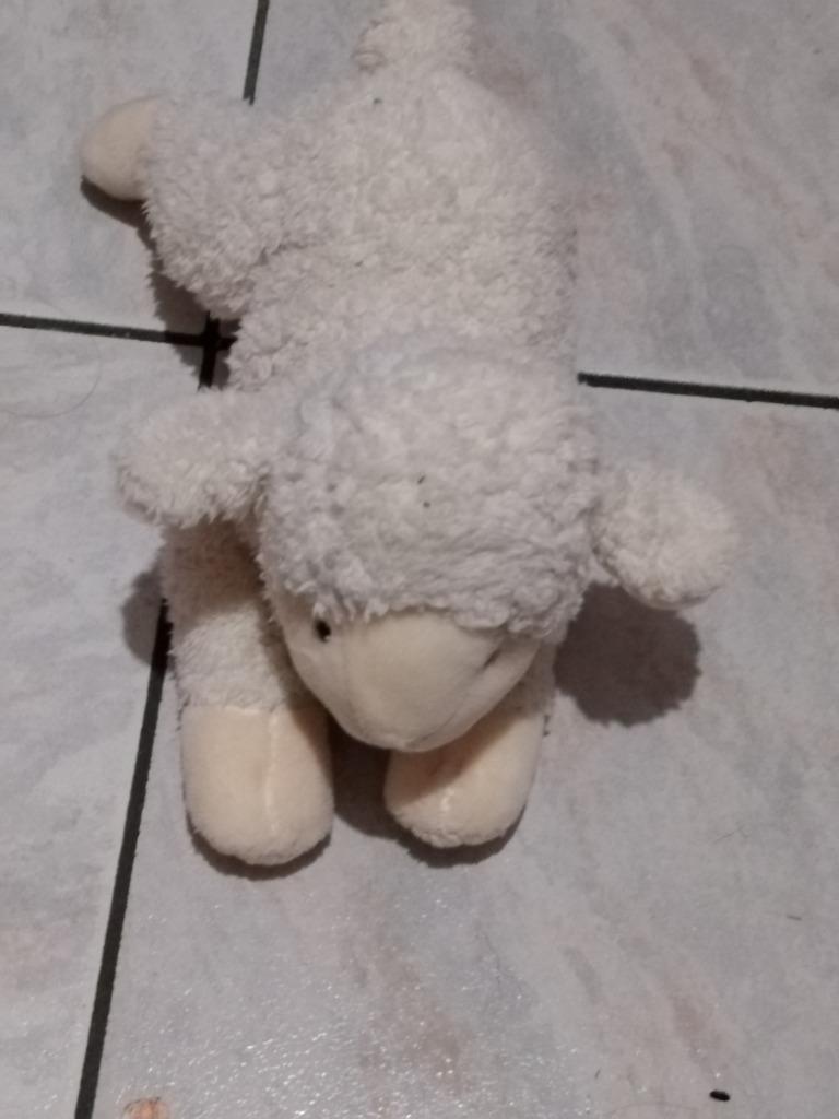 knuffel nicotoy schaap (doos 115), Ophalen of Verzenden, Nieuw