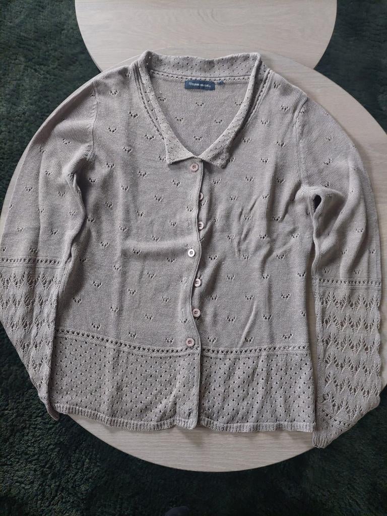 Gilet Terre Bleue maat 38, Kleding | Dames, Ophalen of Verzenden, Zo goed als nieuw, Maat 38/40 (M)