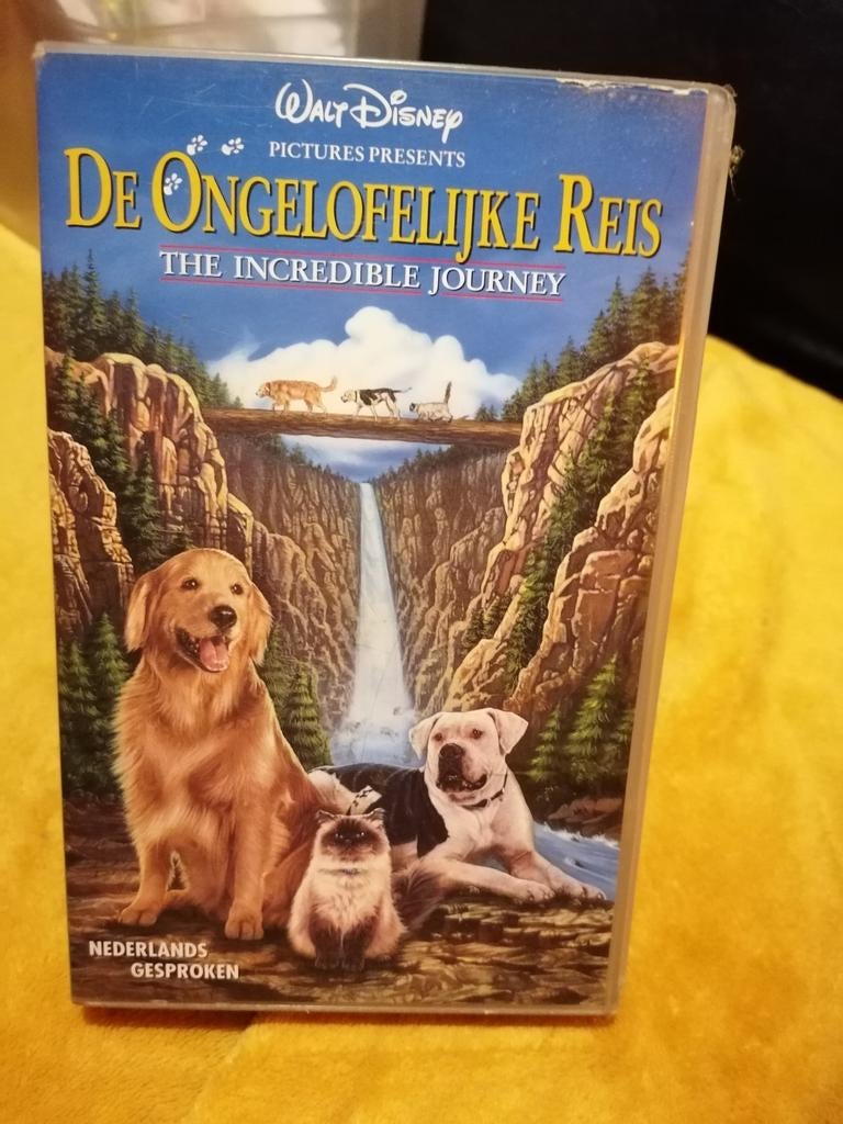 Video films, Cd's en Dvd's, Ophalen of Verzenden, Zo goed als nieuw