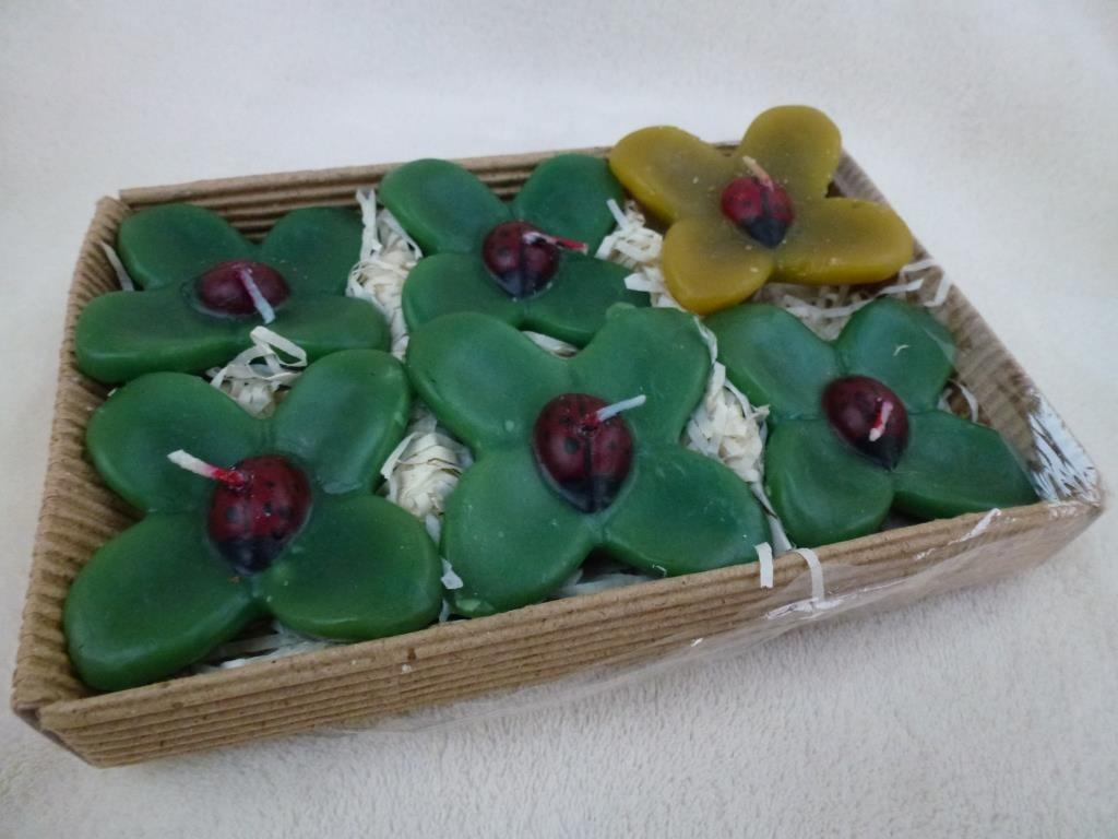 bougies flottantes coccinelle sur feuille 6 encore en boite, Enlèvement ou Envoi, Neuf, Autres matériaux, Bougie