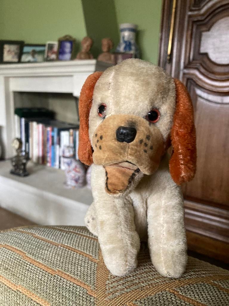 Vintage fluwelen glazen ogen voor honden, Ophalen of Verzenden, Gebruikt, Hond