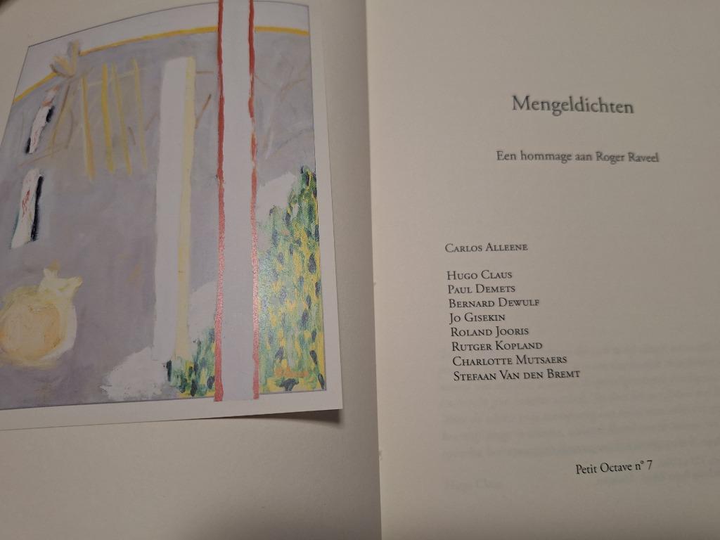 “Mengeldichten. Een hommage aan Roger Raveel”, Ophalen of Verzenden