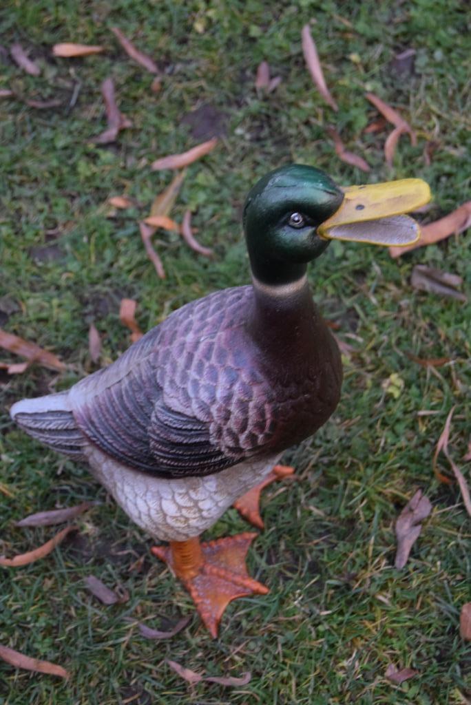 Schitterende gepatineerde gietijzeren eend (de wilde eend), Tuin en Terras, Tuinbeelden, Ophalen of Verzenden, Nieuw, Overige materialen