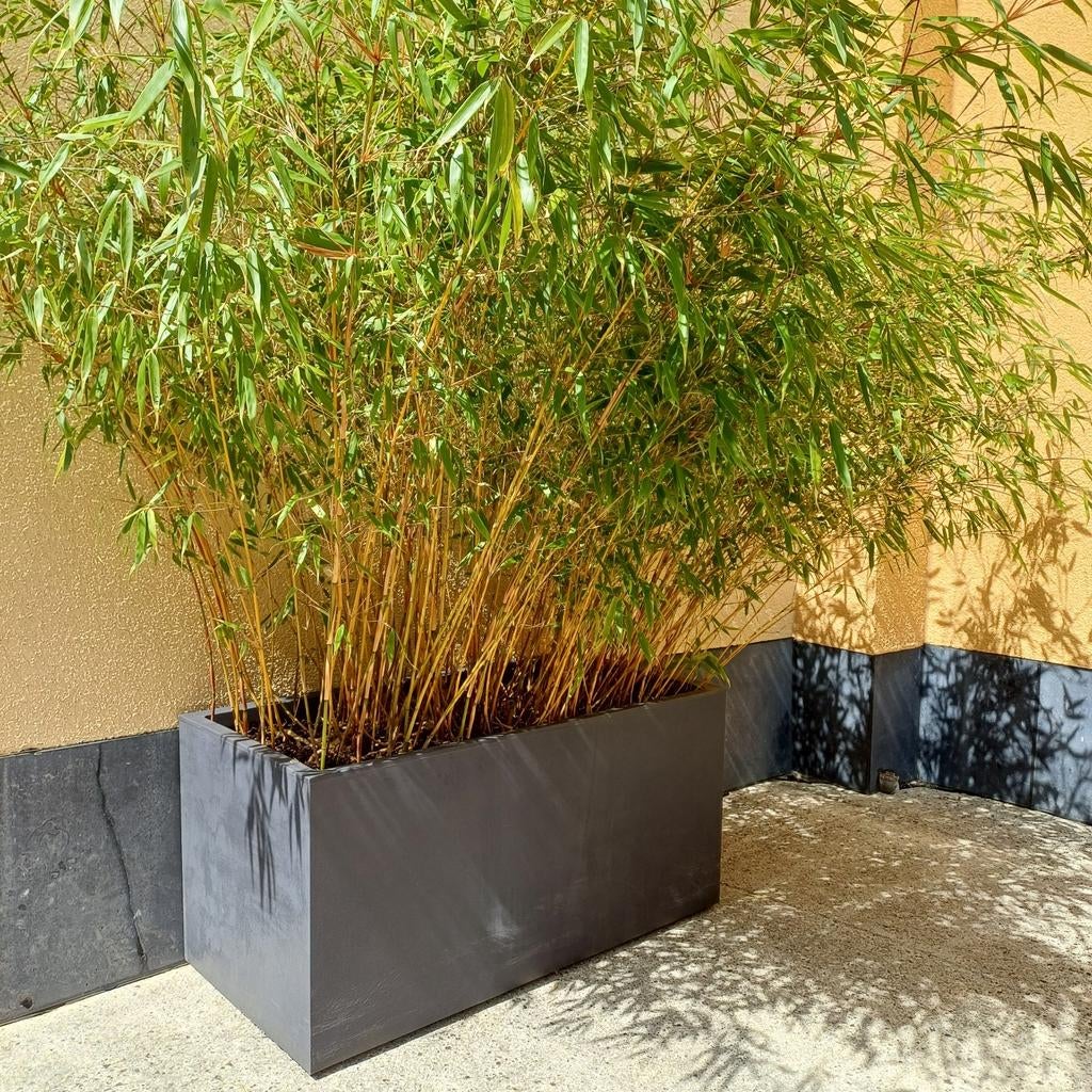 Grote rechthoekige „Deroma” bloembak met bamboe., Tuin en Terras, Ophalen, Kunststof, Gebruikt, Balkon