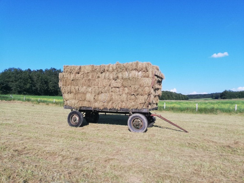 Foin, Enlèvement