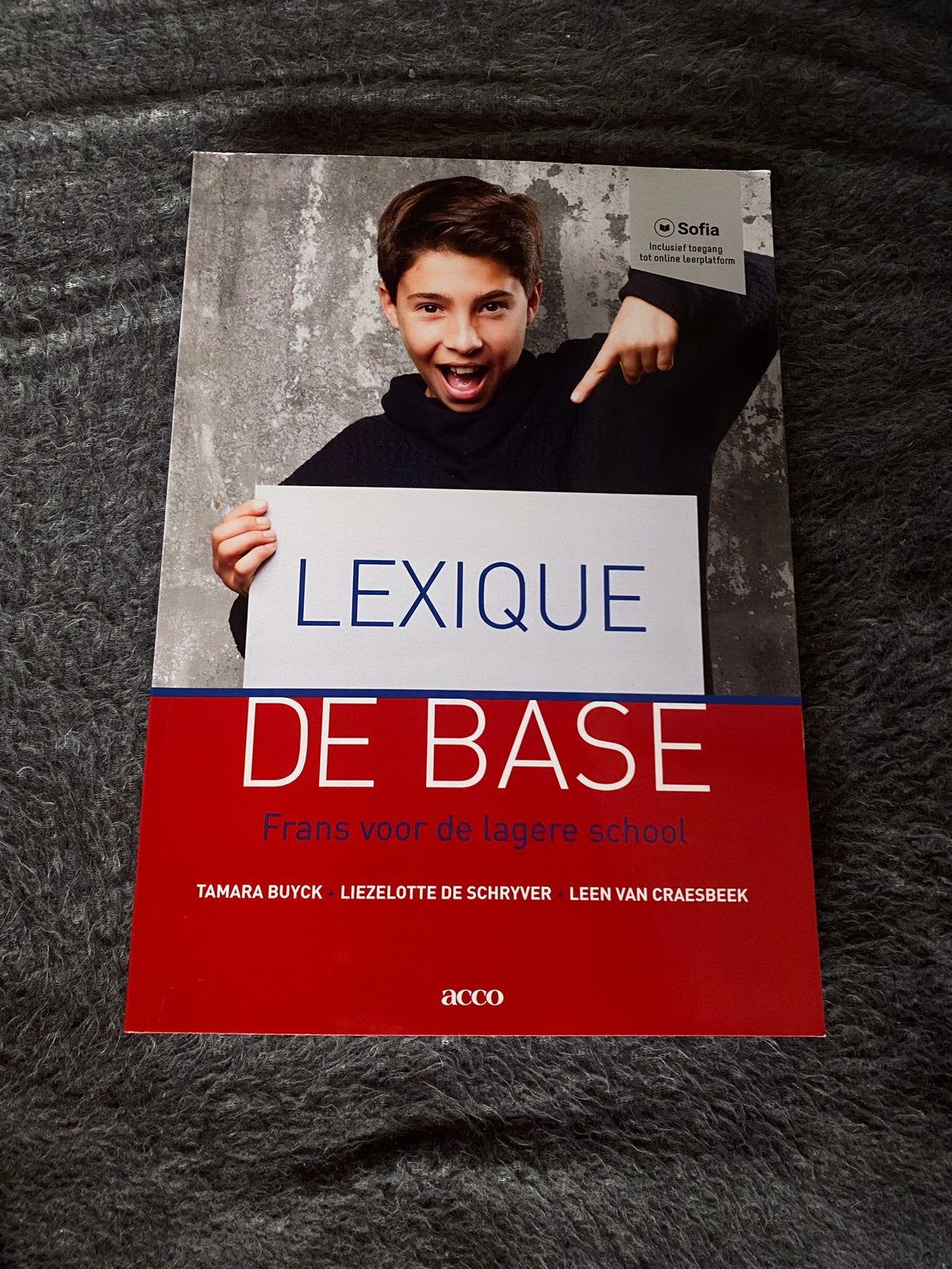 Leen Van Craesbeek - Lexique de base, Boeken, Ophalen of Verzenden, Hogeschool, Leen Van Craesbeek; Liezelotte De Schryver; Tamara Buyck