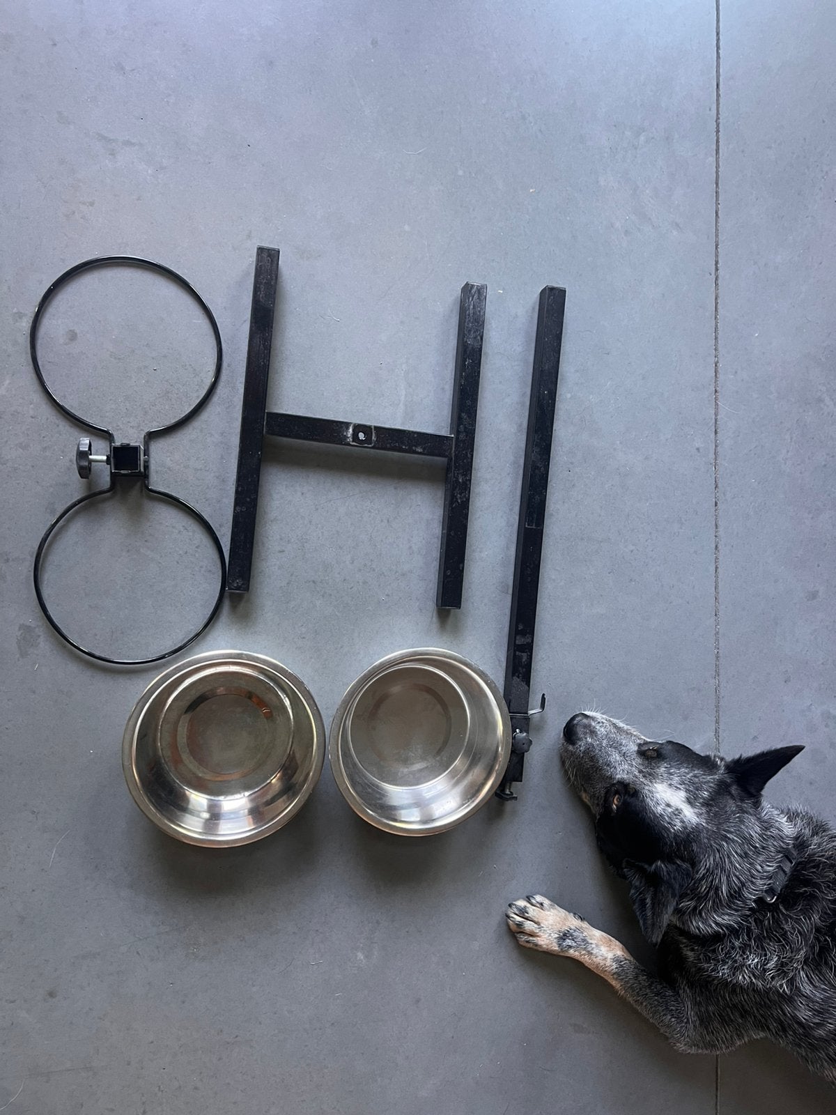 Voer- en drinkbak voor hond, Enlèvement, Utilisé