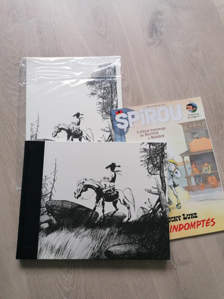 TL les indomptés lucky luke, Enlèvement ou Envoi