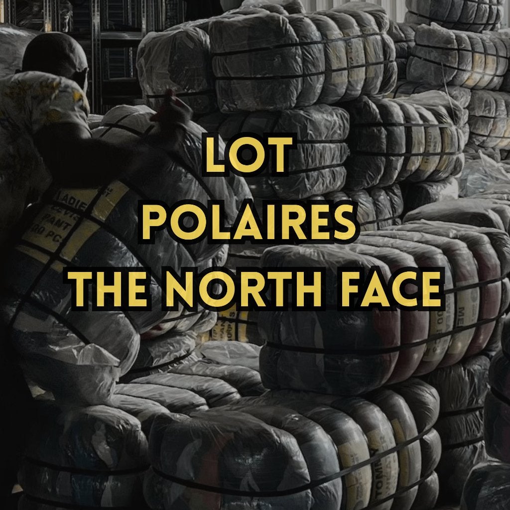 Lot polaires The North Face, Enlèvement ou Envoi, Autres tailles, The North Face, Multicolore