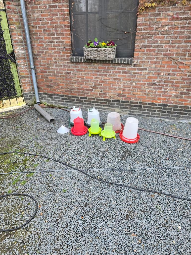 Diversen, Dieren en Toebehoren
